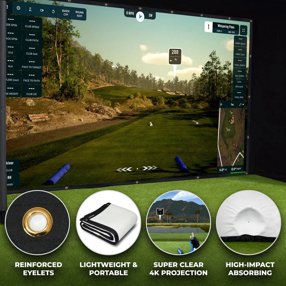 SimSpace Platinum Impact Screen
