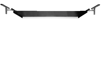 SportScreen Animation